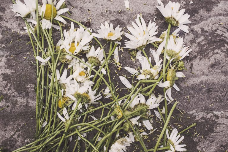 Above The High: Coping With Addiction And Death