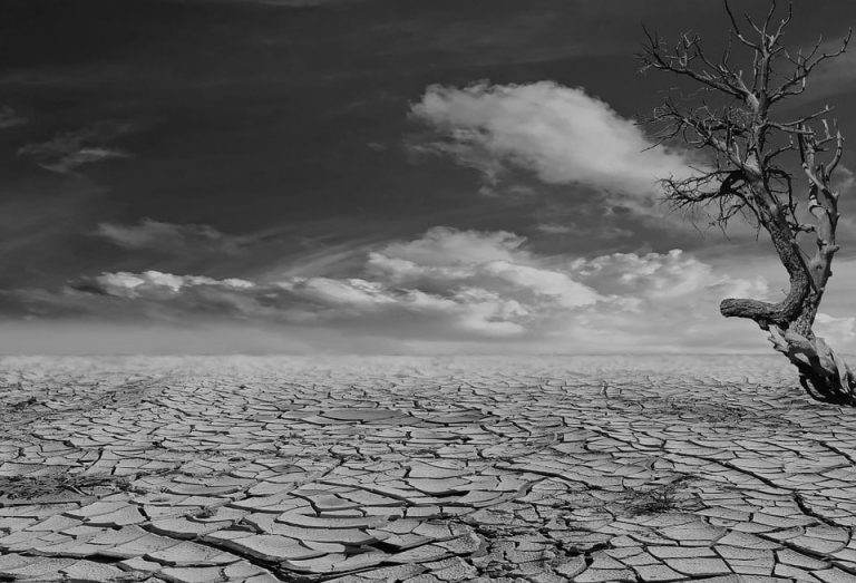 Where Are All The Silver Linings?