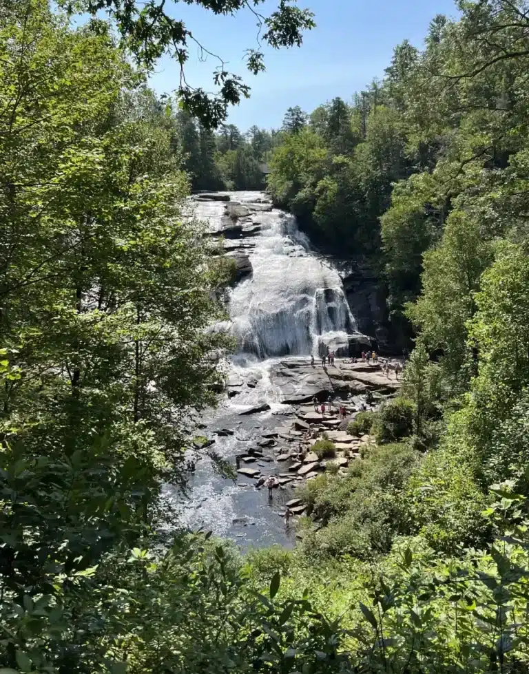 nature