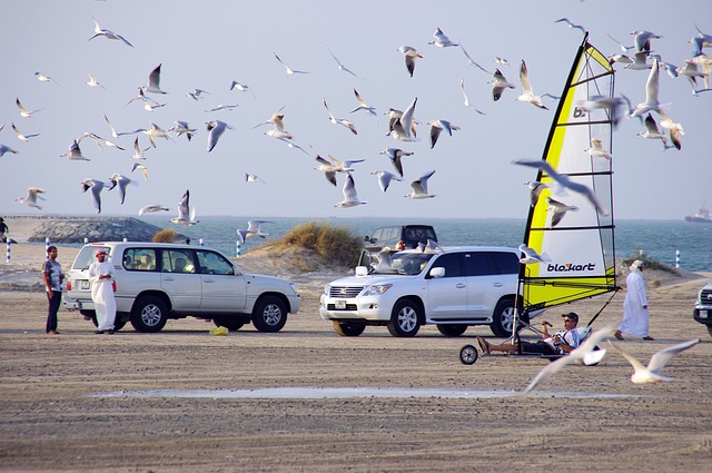 Through the Sand: A Driving Lesson From Dubai