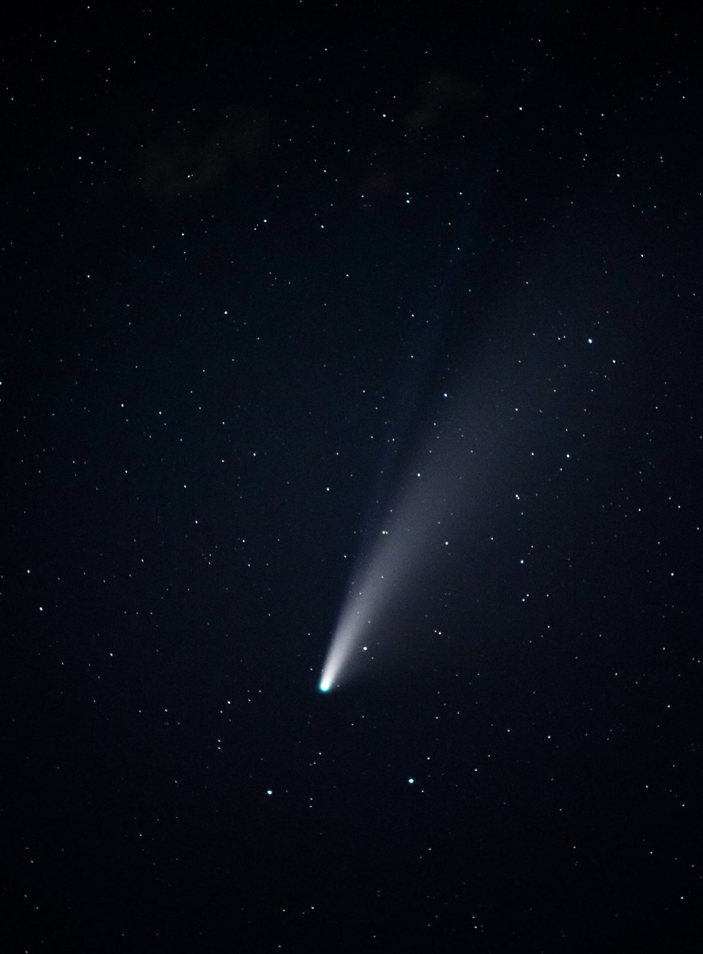 ison