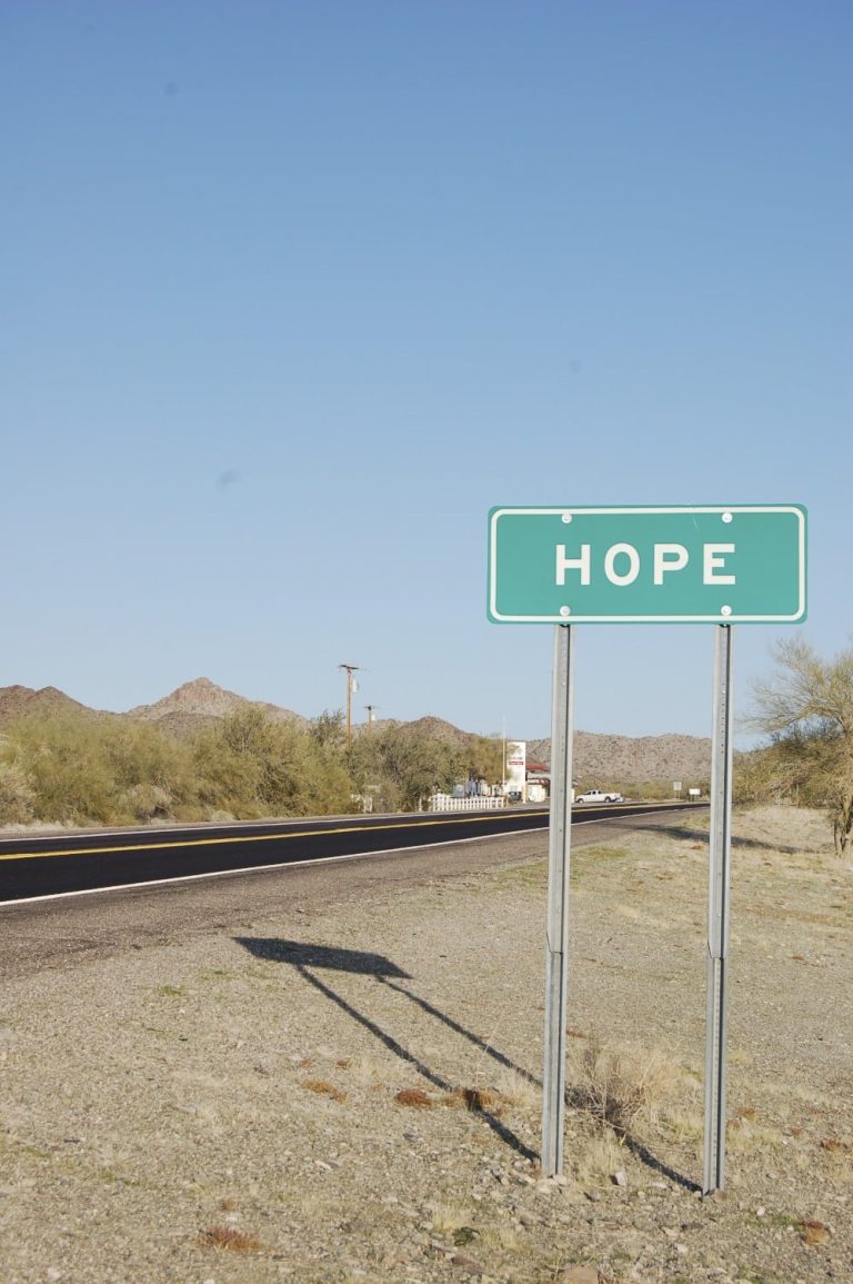 Discovering Who You Are. Guest Post by Suzanne Campbell.