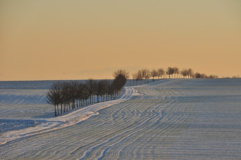 Boys of Winter & Prairie Things