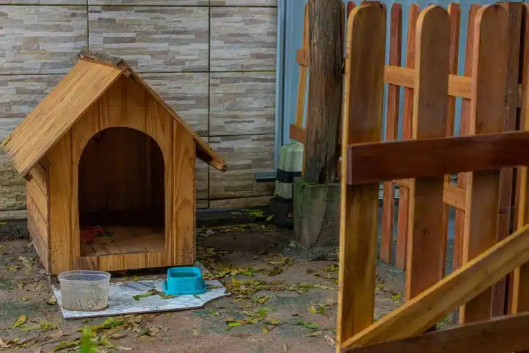 doghouse