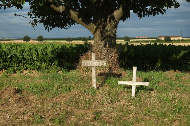 cross