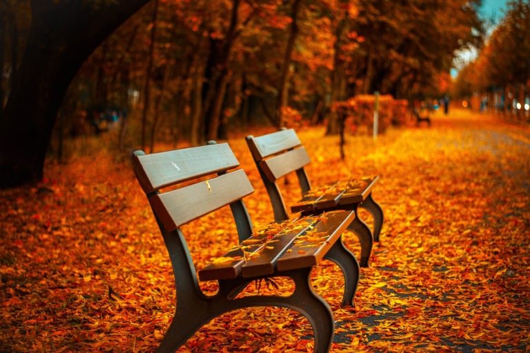 The Seat: On Domestic Violence.