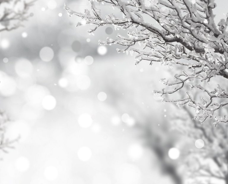 ice