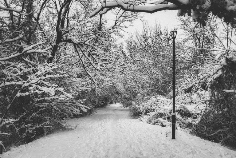Winter