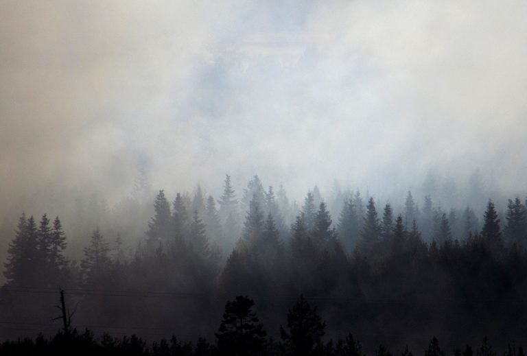 When The Smoke Clears