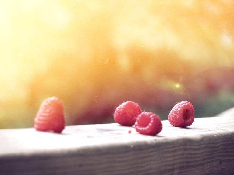 Sugar Spots: On Being Bulimic.