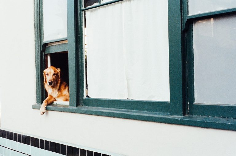 3 Poems by Naomi Shihab Nye.