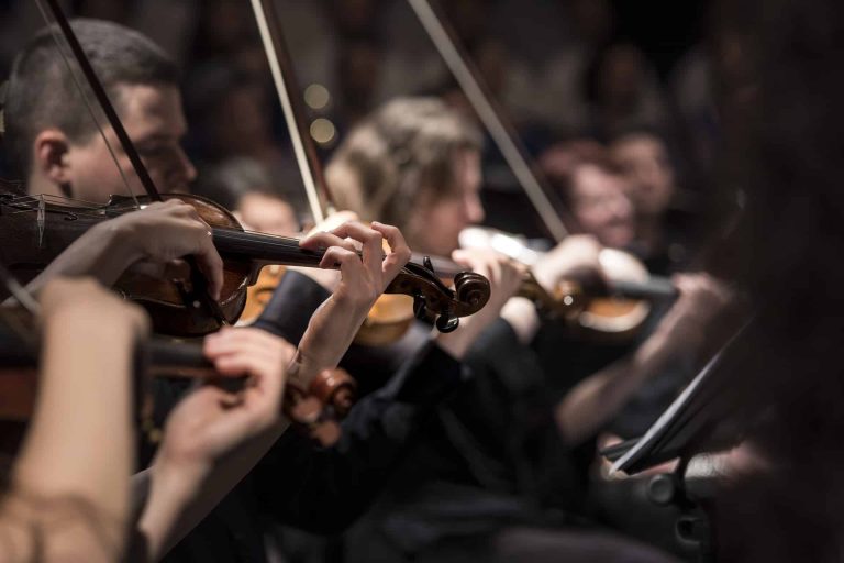 violin
