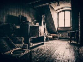 Spinster In The Attic