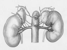 dialysis son hospital inherit